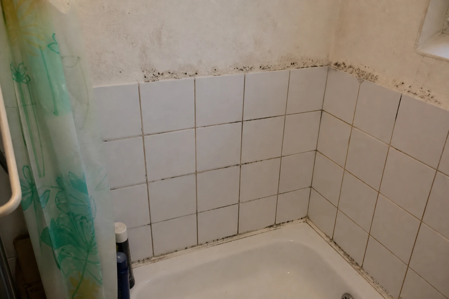 Tavaszi beázás után: falszárítás és páramentesítő bérlés gyors lépésekben